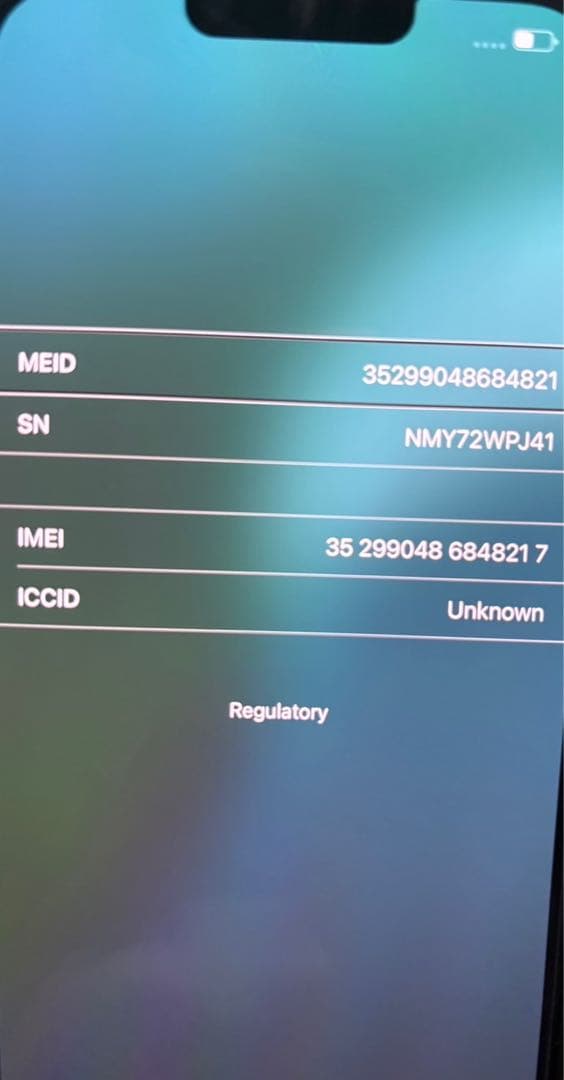 Apple iPhone 13 Pro Max シエラブルー 256GB