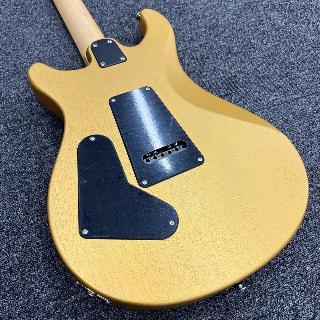【ペグ交換等オプションあり11764】Paul Reed Smith SE CE