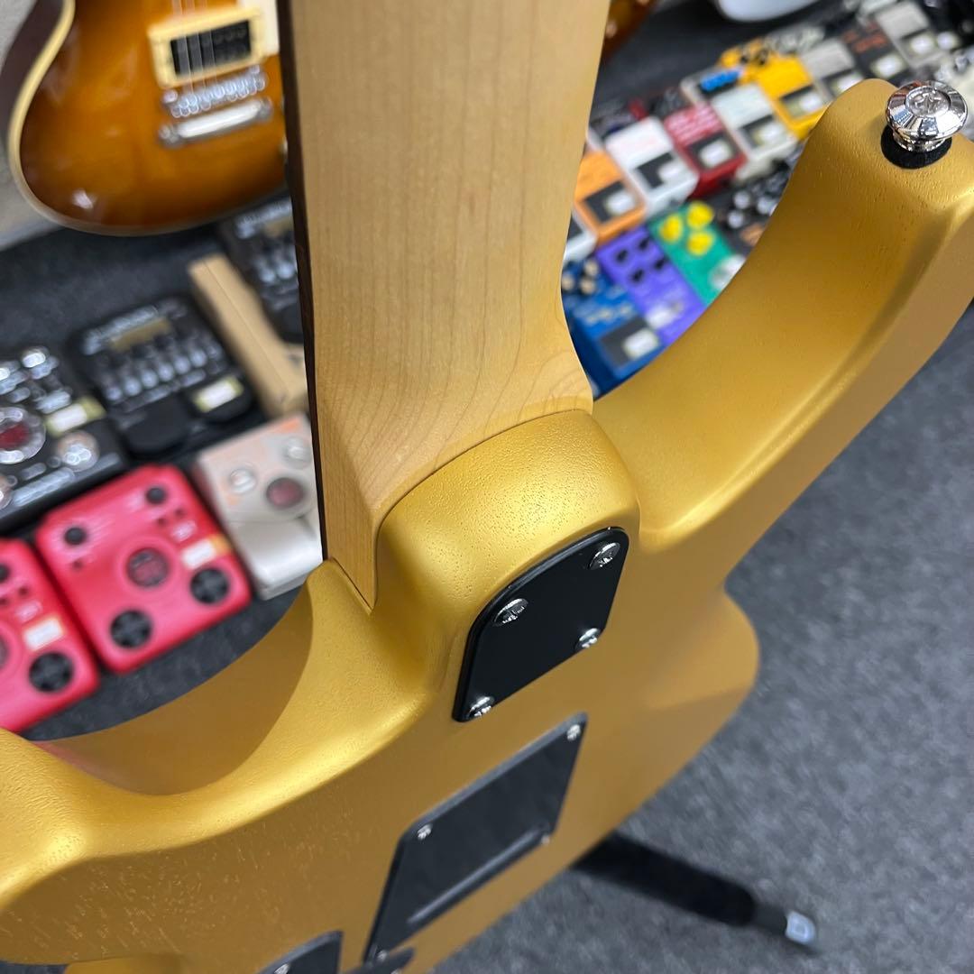 【ペグ交換等オプションあり11764】Paul Reed Smith SE CE