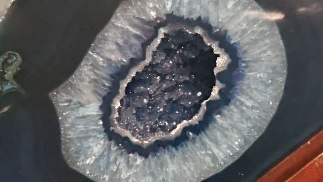 ブルーメノウドーム 人気急上昇　ドゥルージータイプ　幸運をもたらす