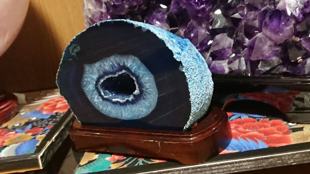 ブルーメノウドーム 人気急上昇　ドゥルージータイプ　幸運をもたらす