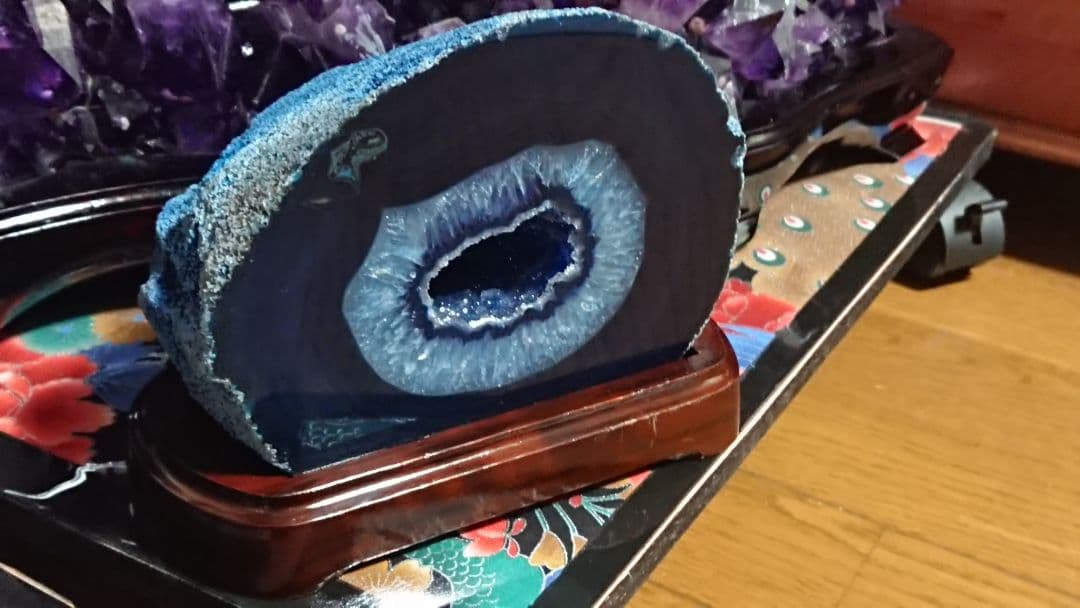 ブルーメノウドーム 人気急上昇　ドゥルージータイプ　幸運をもたらす