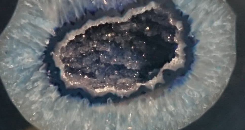 ブルーメノウドーム 人気急上昇　ドゥルージータイプ　幸運をもたらす