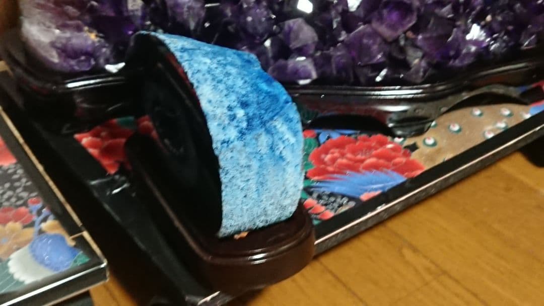 ブルーメノウドーム 人気急上昇　ドゥルージータイプ　幸運をもたらす