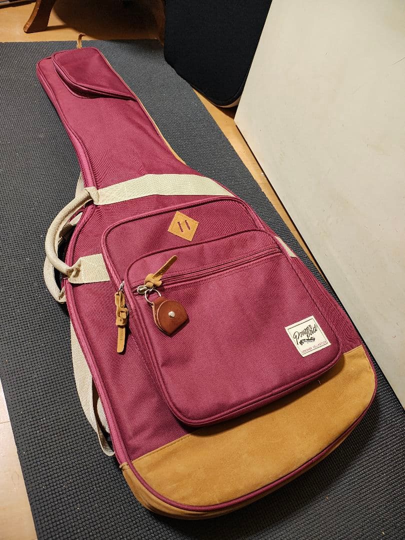 Epiphone Les Paulゴールドトップ /美品 ギグケース付