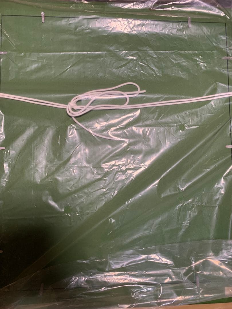 ビョンヴィンブラッド　大型シルバー額ビンテージブルーシルエット少女横顔の額装！