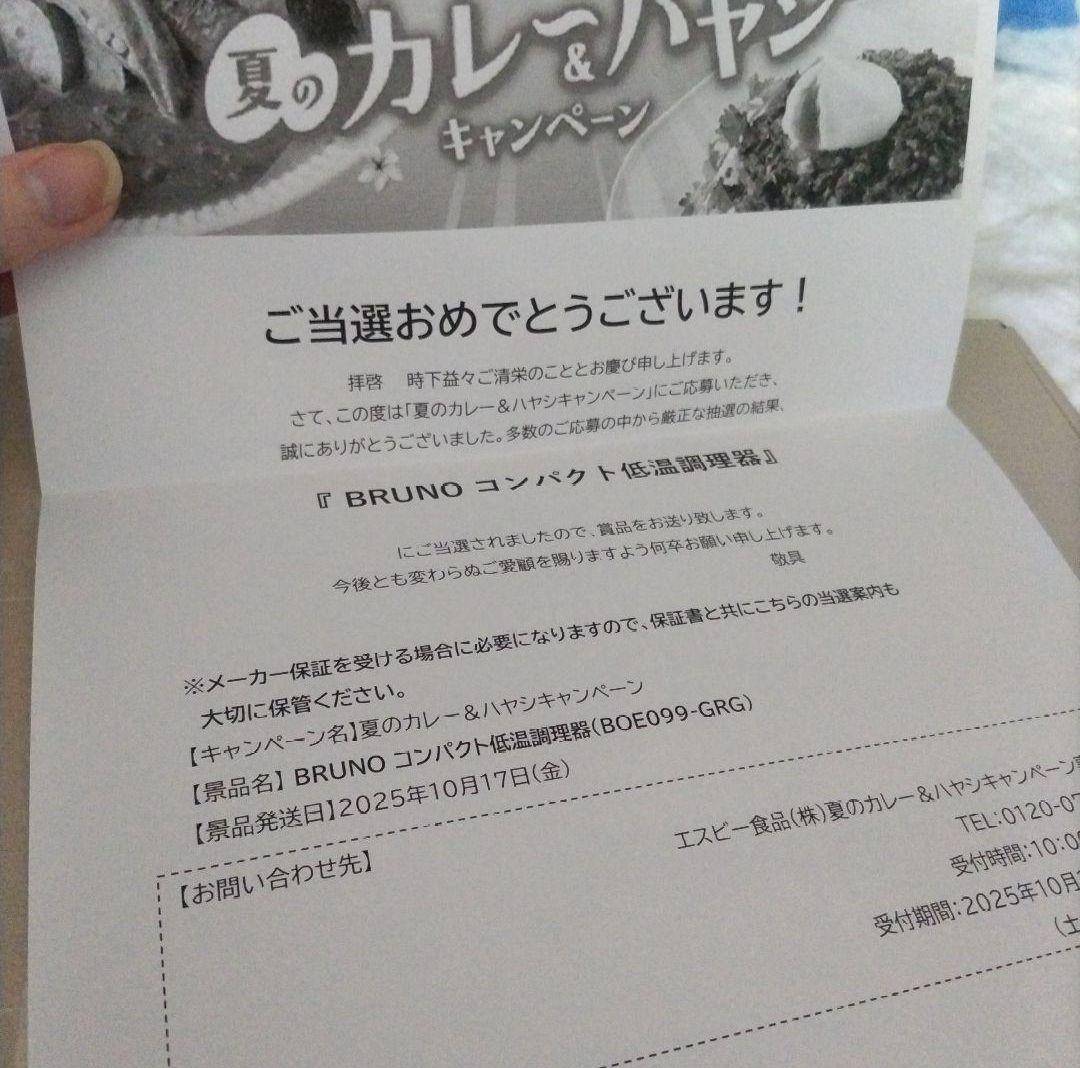 新品 ブルーノ コンパクト低温調理機 グレー