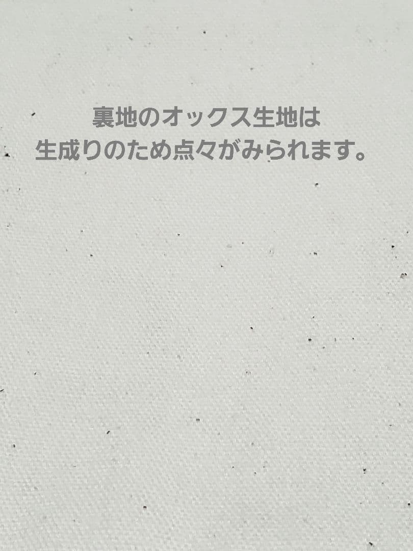 入園グッズ　５点セット　リバーシブル　恐竜　ダイナソー
