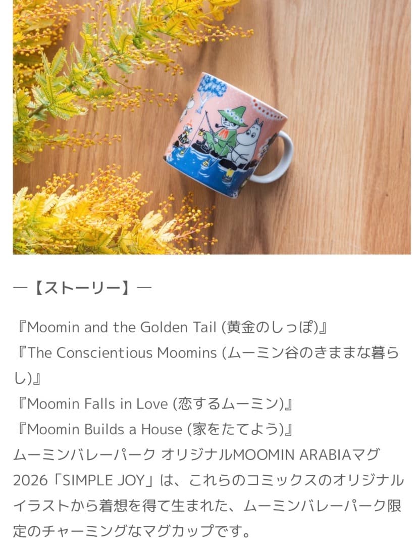 ムーミンバレーパーク限定　アラビアマグカップ〔新品未使用〕２点セット