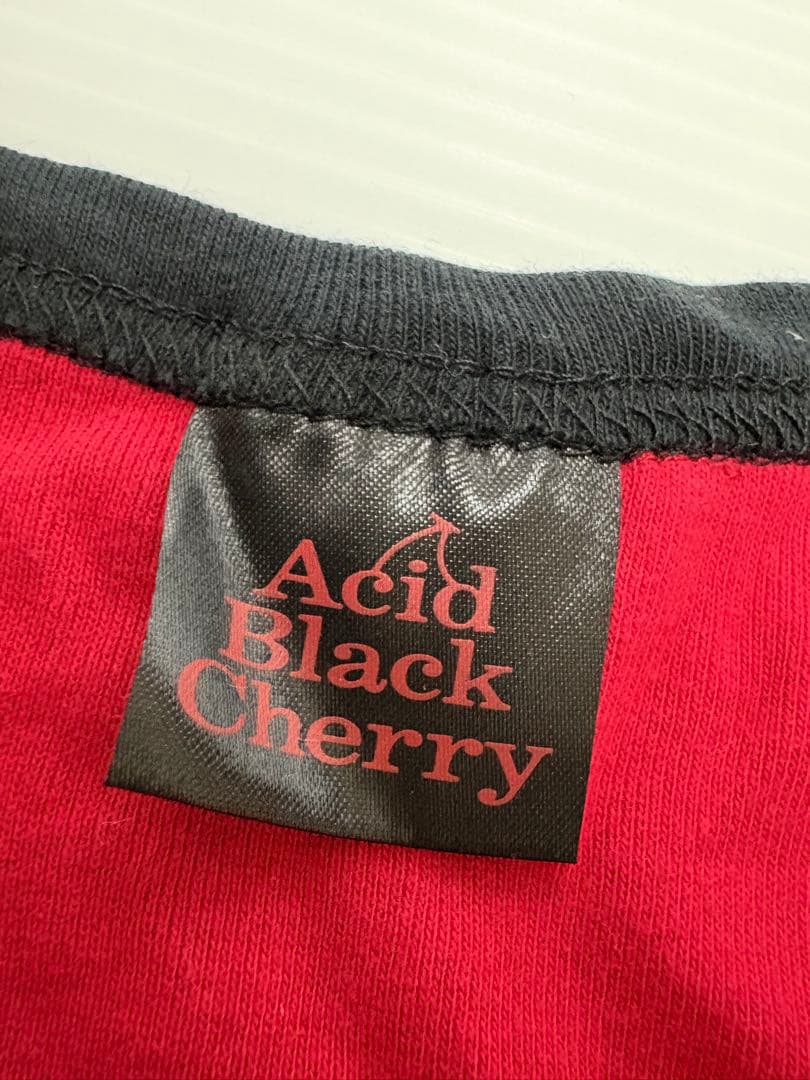 Acid Black Cherry tour2009 Q.E.D.Ｔシャツ