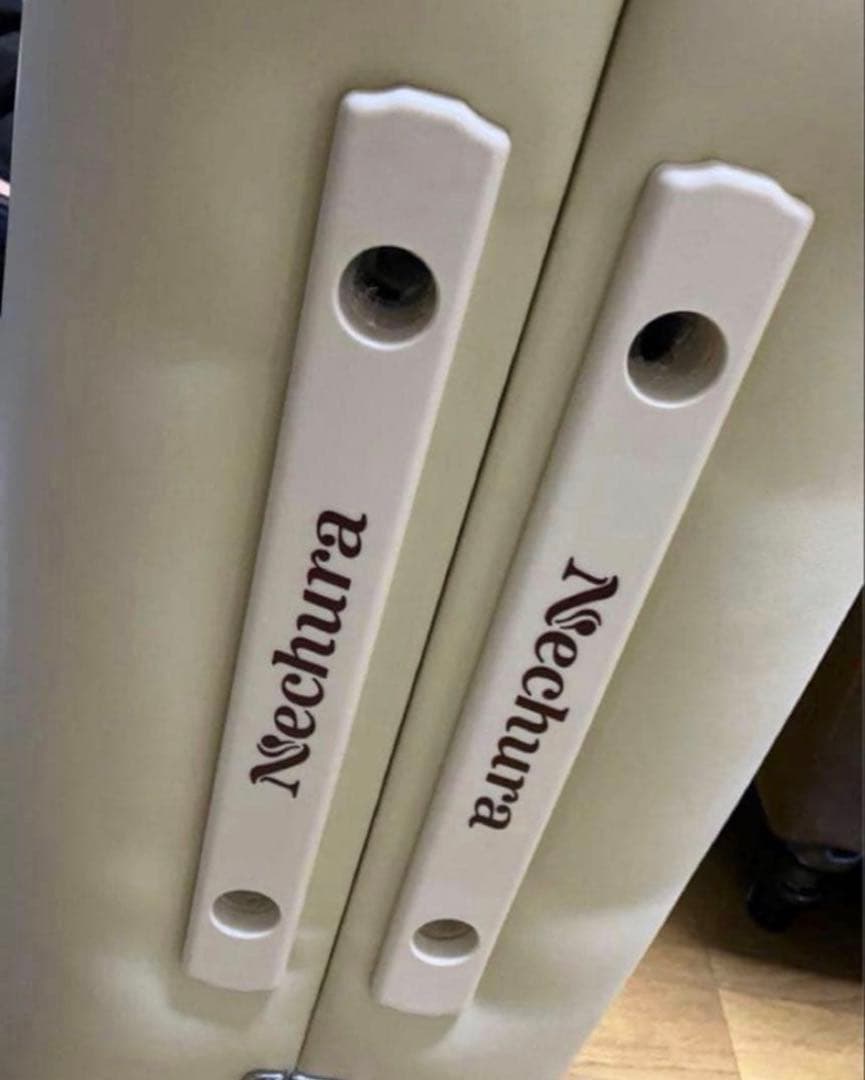 ネチュラ プロフェッショナルハードフォーム