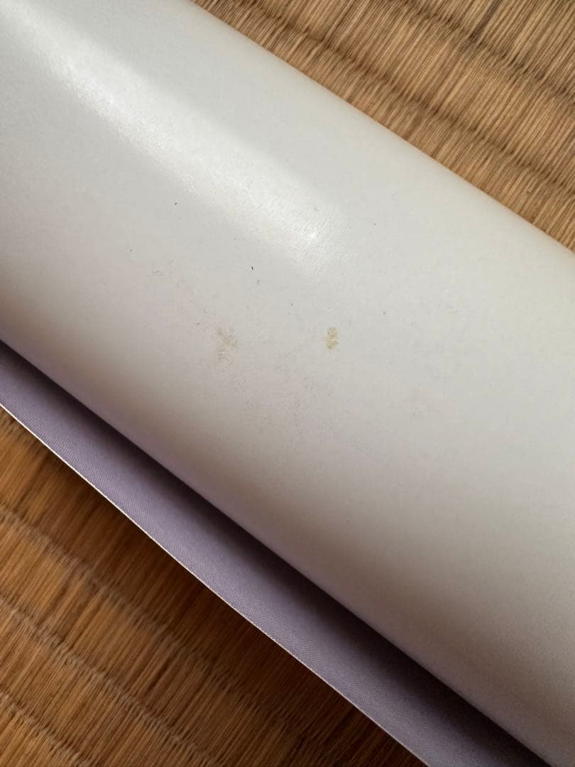 激レア 黒羽夏奈子 等身大ポスター エンタメ ビキニ姿で挑発