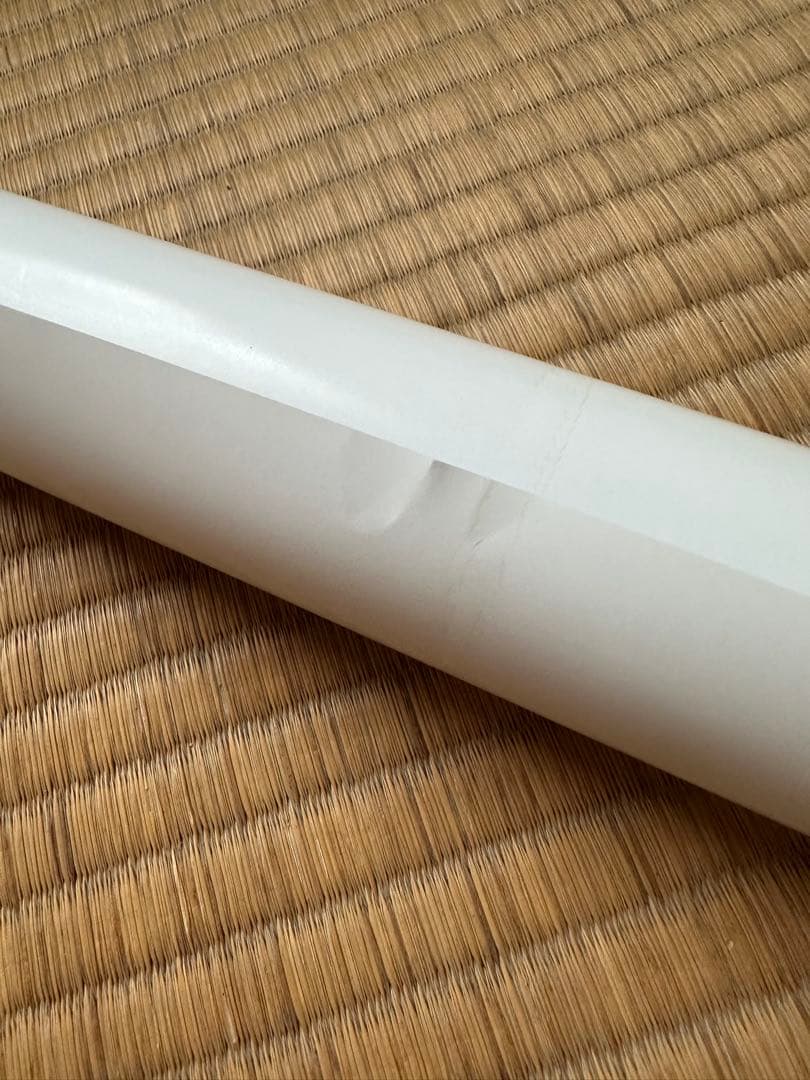 激レア 黒羽夏奈子 等身大ポスター エンタメ ビキニ姿で挑発