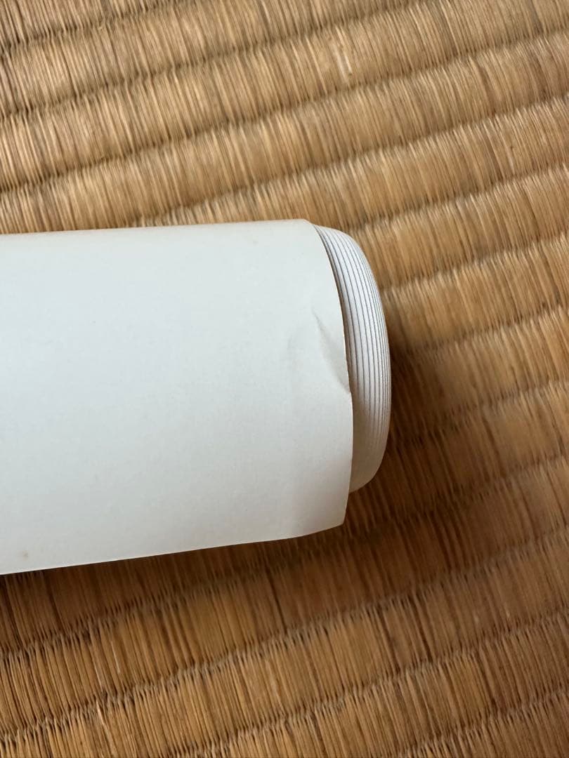 激レア 黒羽夏奈子 等身大ポスター エンタメ ビキニ姿で挑発