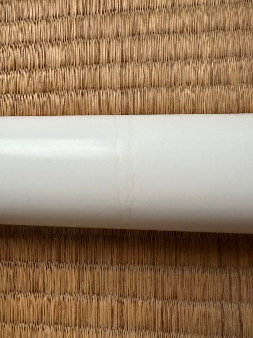 激レア 黒羽夏奈子 等身大ポスター エンタメ ビキニ姿で挑発