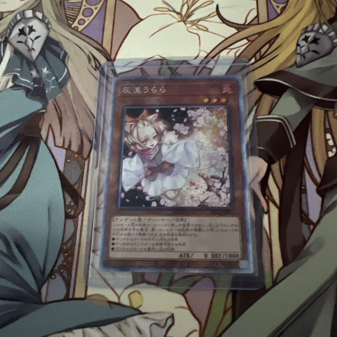 S*a様 遊戯王OCG 灰流うらら プリシク 管理N-6