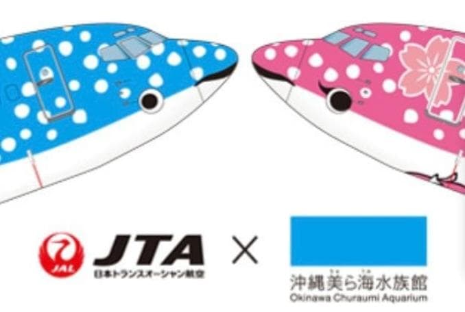 【大人気】JTA さくらジンベエ スナップインモデル 1/130【匿名新品】