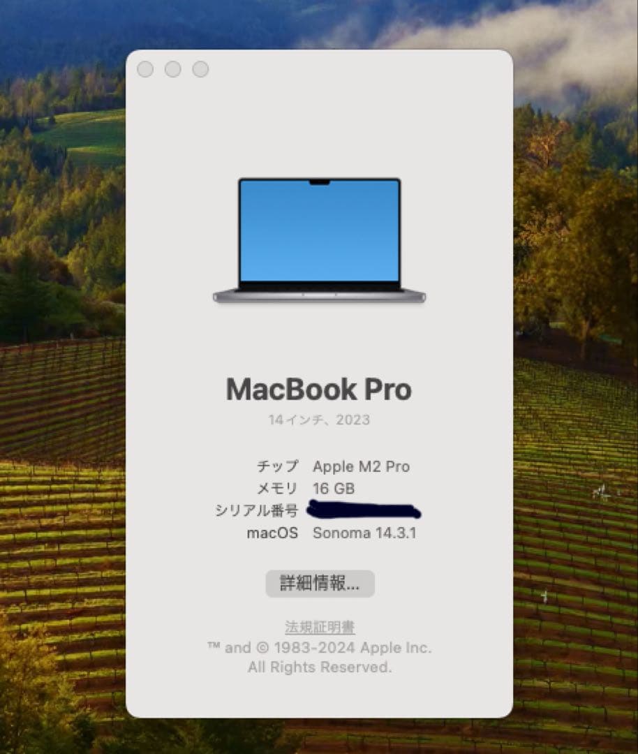 Apple MacBook Pro M2 美品 オマケあり※さくさくさん専用