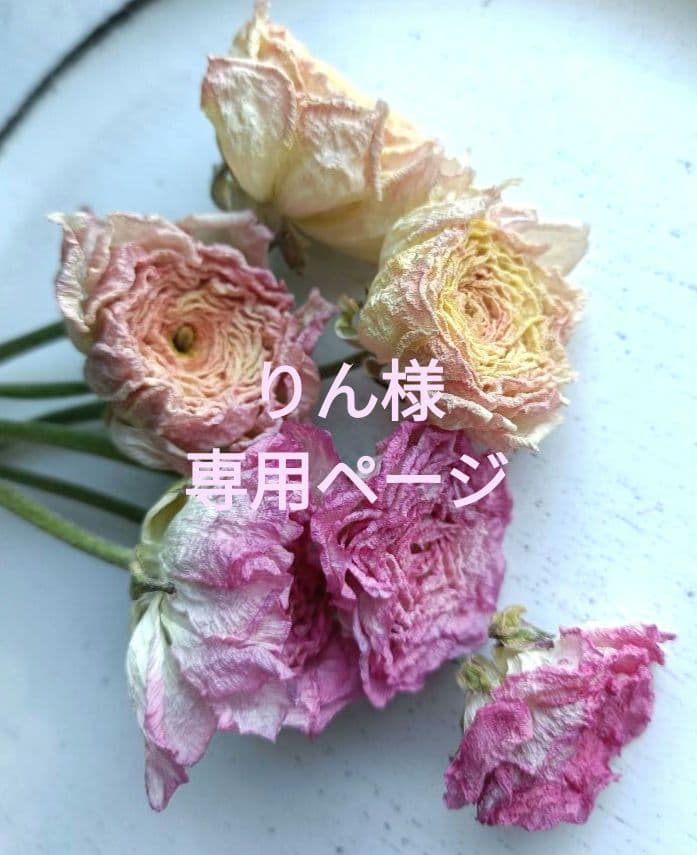 ♡りんページ♡ドライフラワーラナンキュラススワッグ&桜スワッグ♡