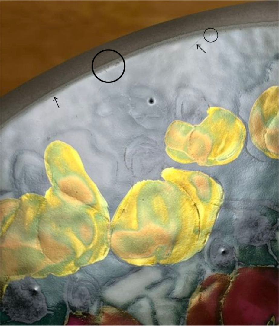 ARABIA ヘルヤ \"Ruusut\" 陶板画