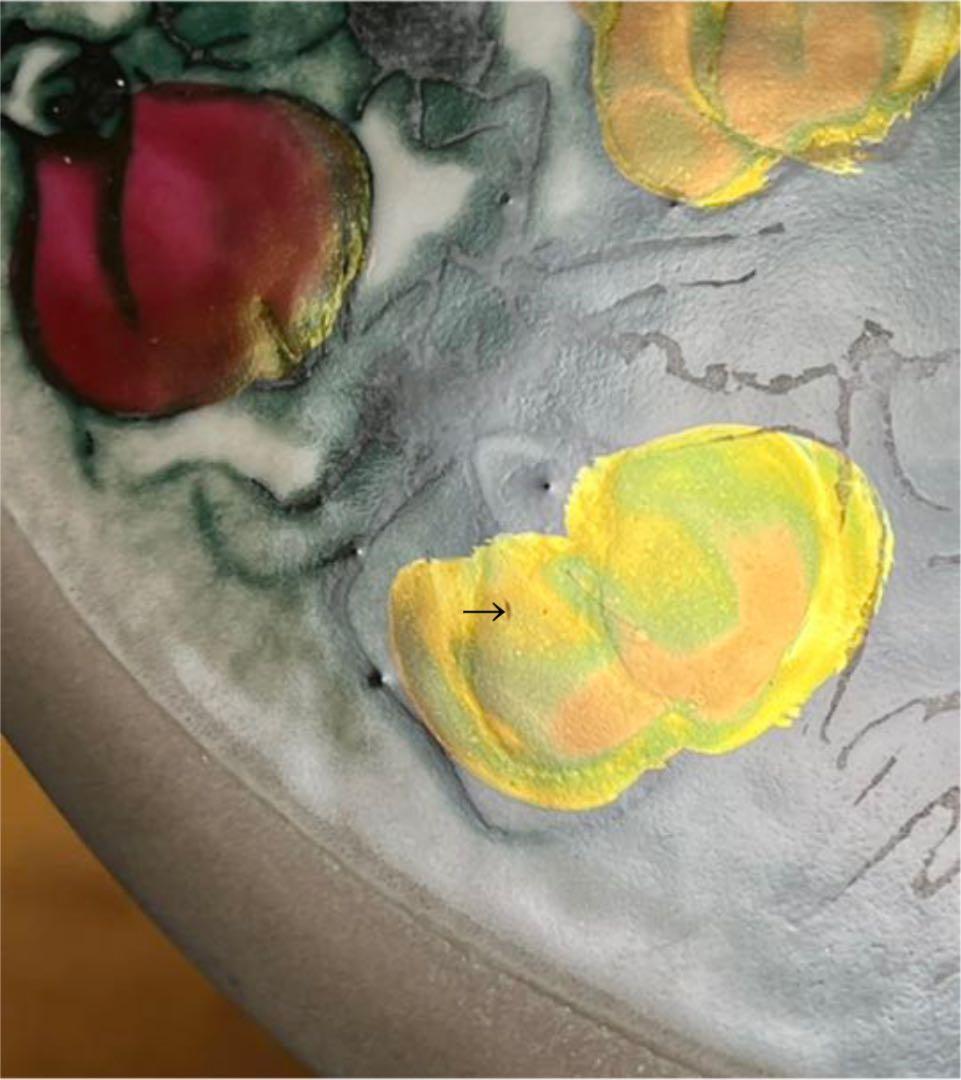 ARABIA ヘルヤ \"Ruusut\" 陶板画