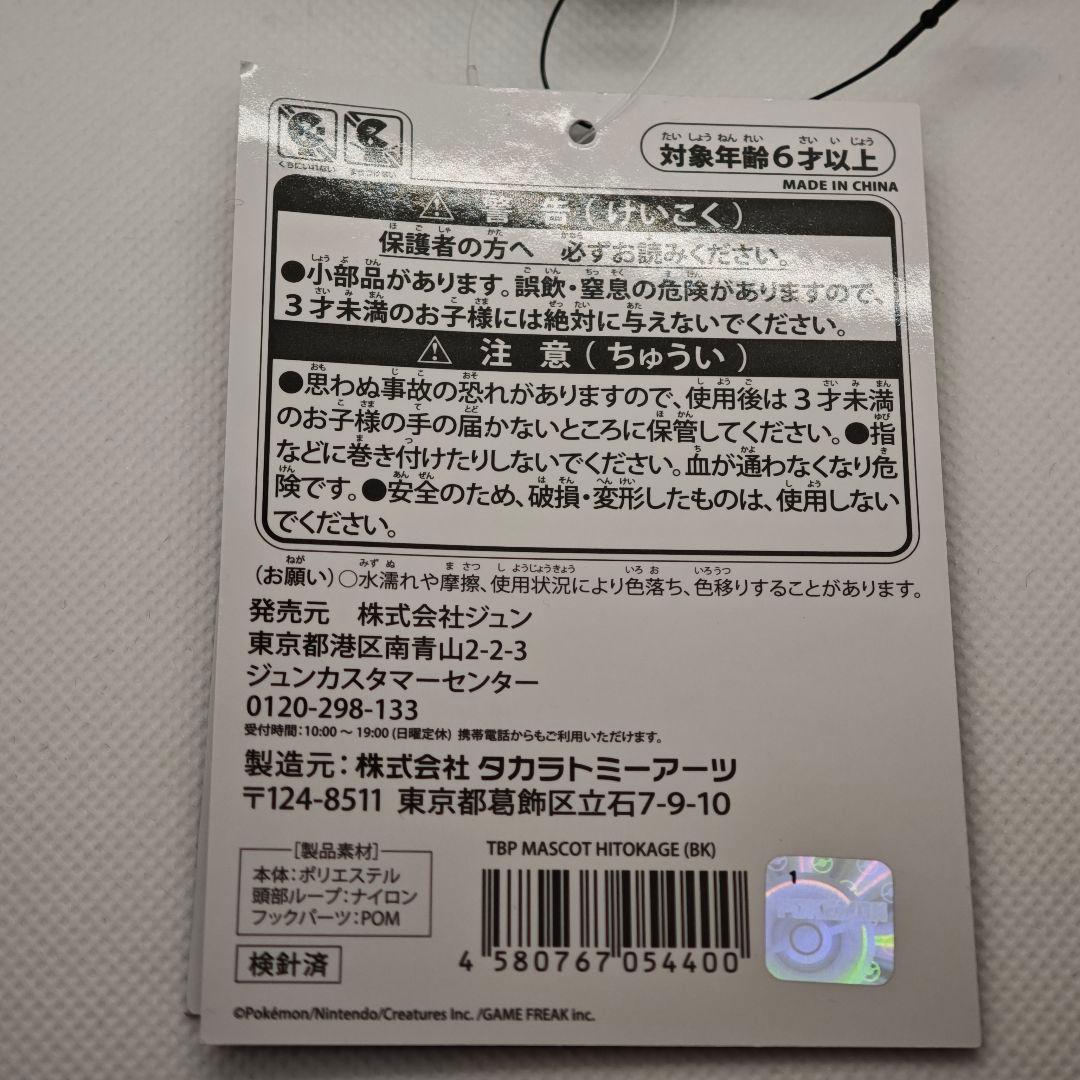 ポケモン ヒトカゲ サンダーボルトプロジェクト 藤原ヒロシ キーリング