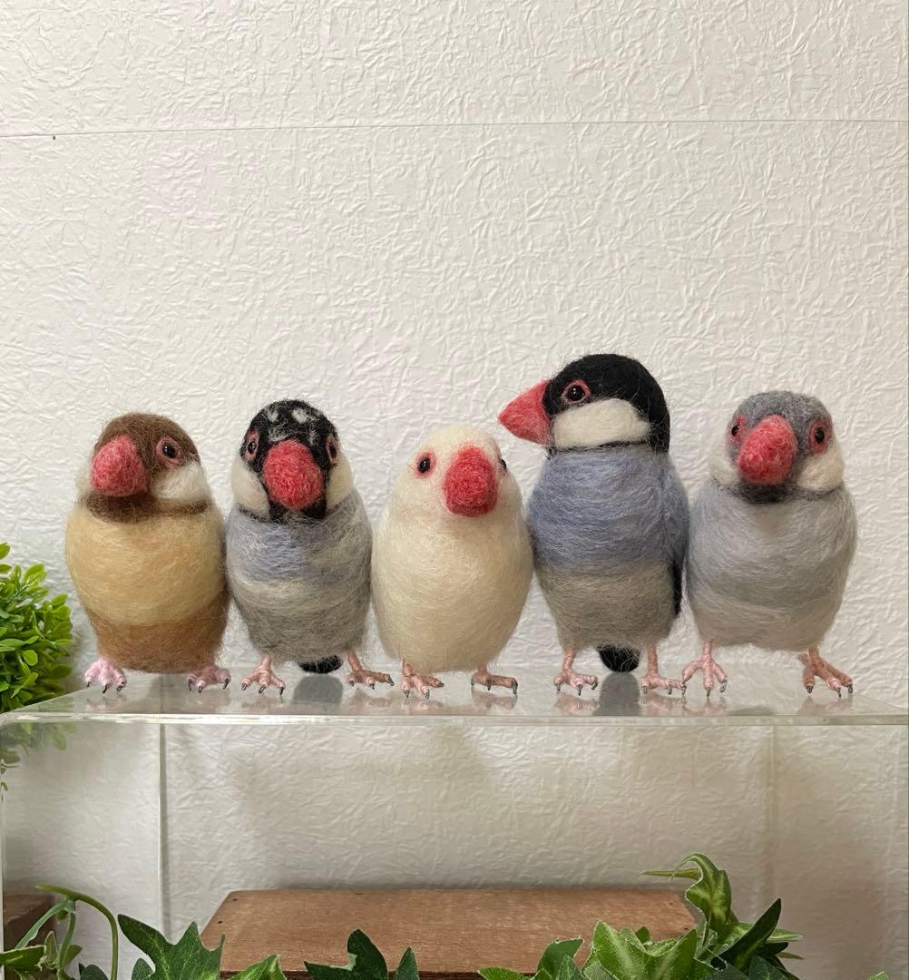 小さな文鳥たち