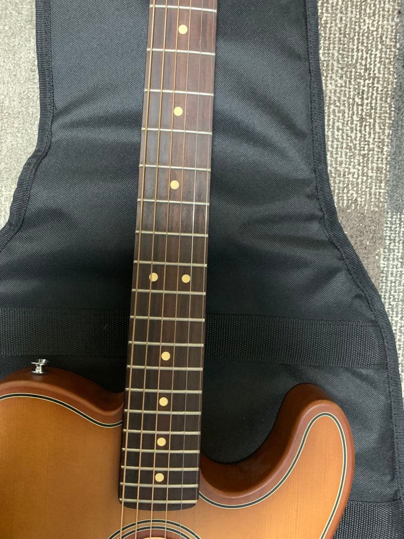 ギター ACOUSTASONIC STANDARD