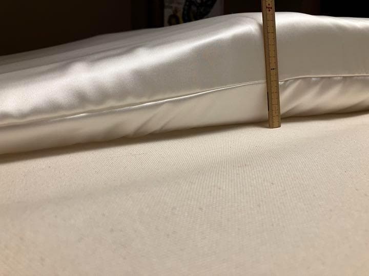 トゥルースリーパー　枕カバー　シルク　100％　19匁　シングル サイズ　日本製