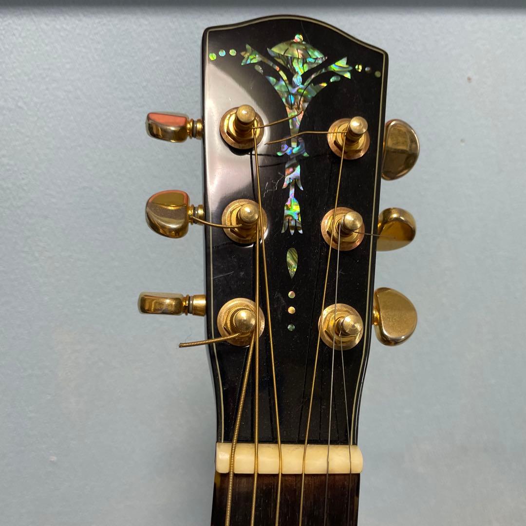 Headway tf1000 エレアコハードケース付き