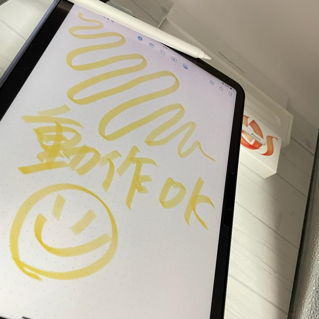 限定保証有【美品】Apple Pencil Pro 本体＋箱類