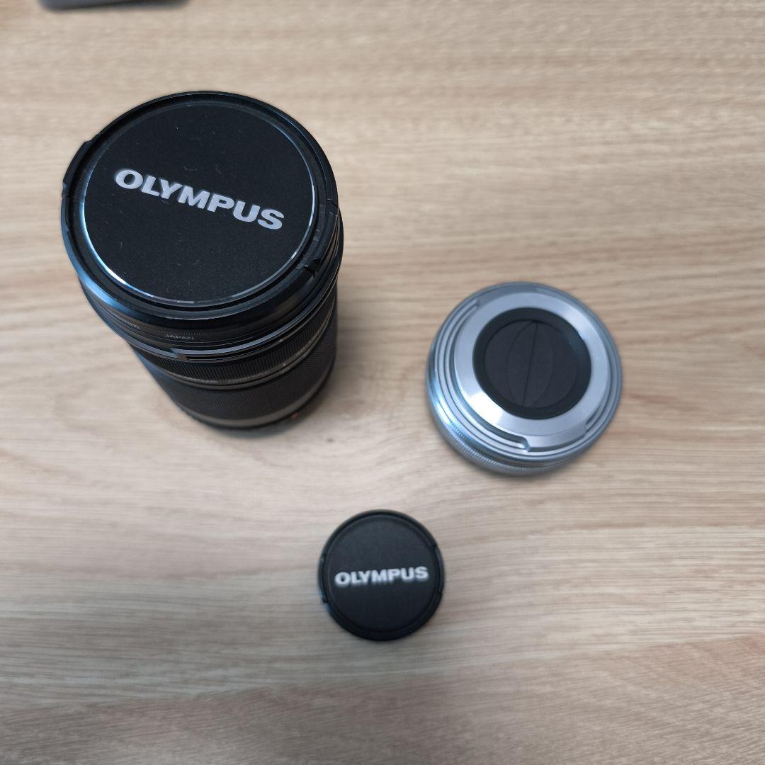 OLYMPUS OM-D e-m10markⅡ ミラーレス一眼カメラ