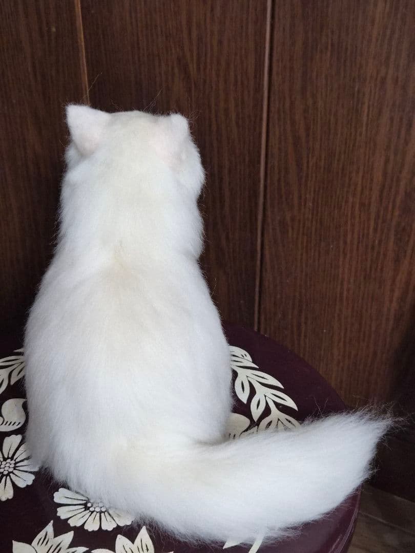 羊毛フェルト　白猫ちゃん