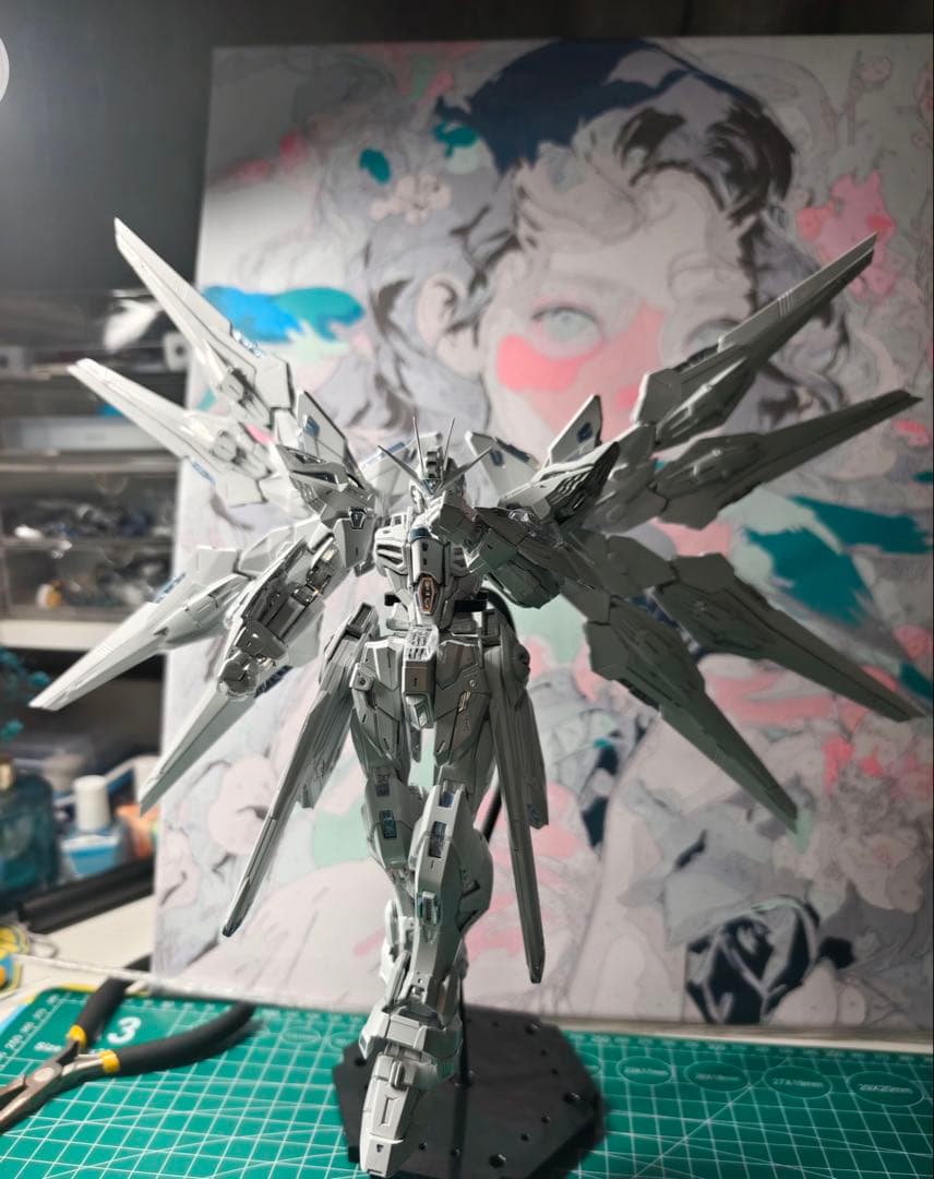 さ*屋様 長龍 MGEX ストライクフリーダムガンダム TWILIGHT COA