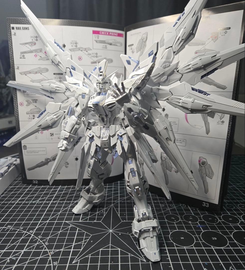 さ*屋様 長龍 MGEX ストライクフリーダムガンダム TWILIGHT COA