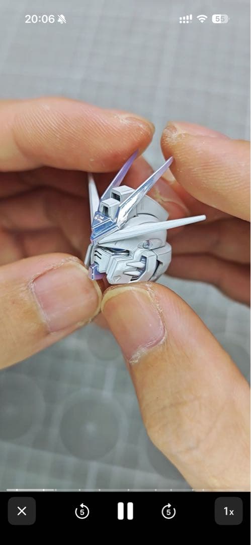 さ*屋様 長龍 MGEX ストライクフリーダムガンダム TWILIGHT COA