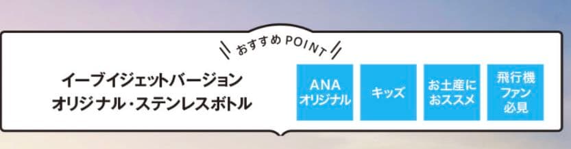 ANAオリジナル ワンタッチステンレスボトル イーブイジェット NH