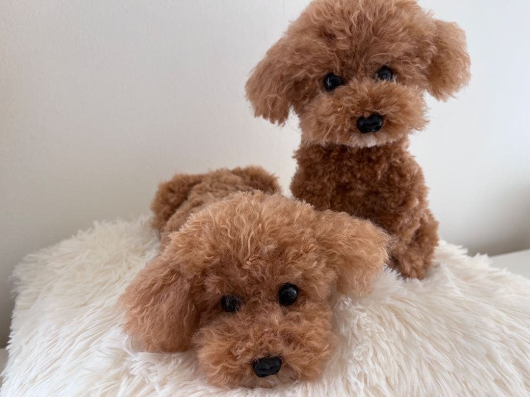 user_様　トイプードル編みぐるみ【大型】