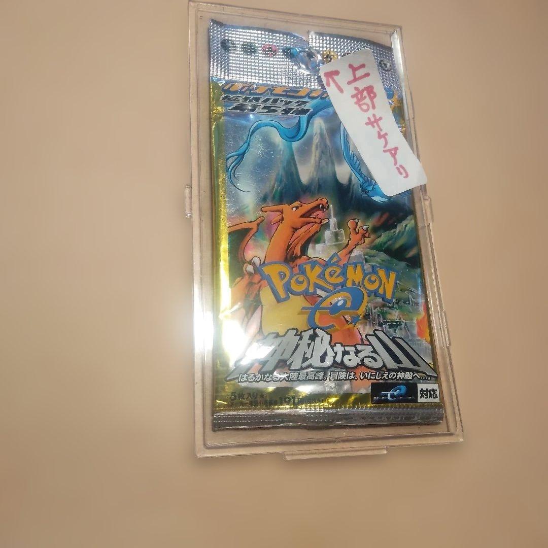 ポケモン 神秘なる山