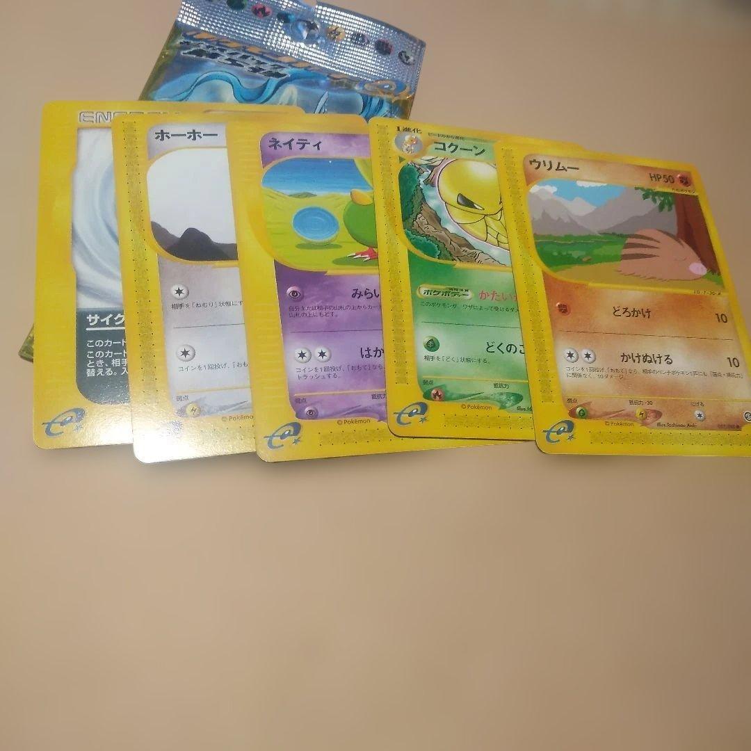 ポケモン 神秘なる山