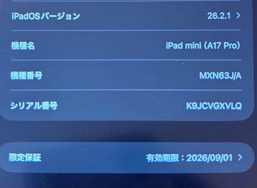 Apple iPad mini スペースグレー 本体