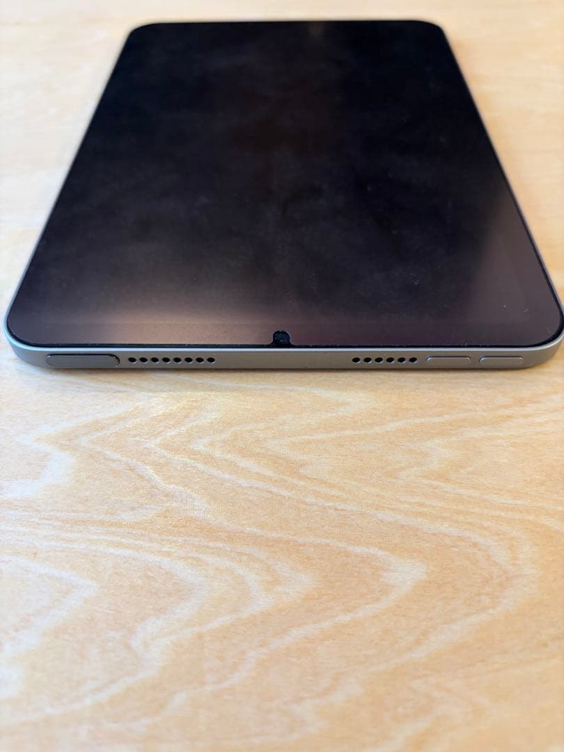 Apple iPad mini スペースグレー 本体
