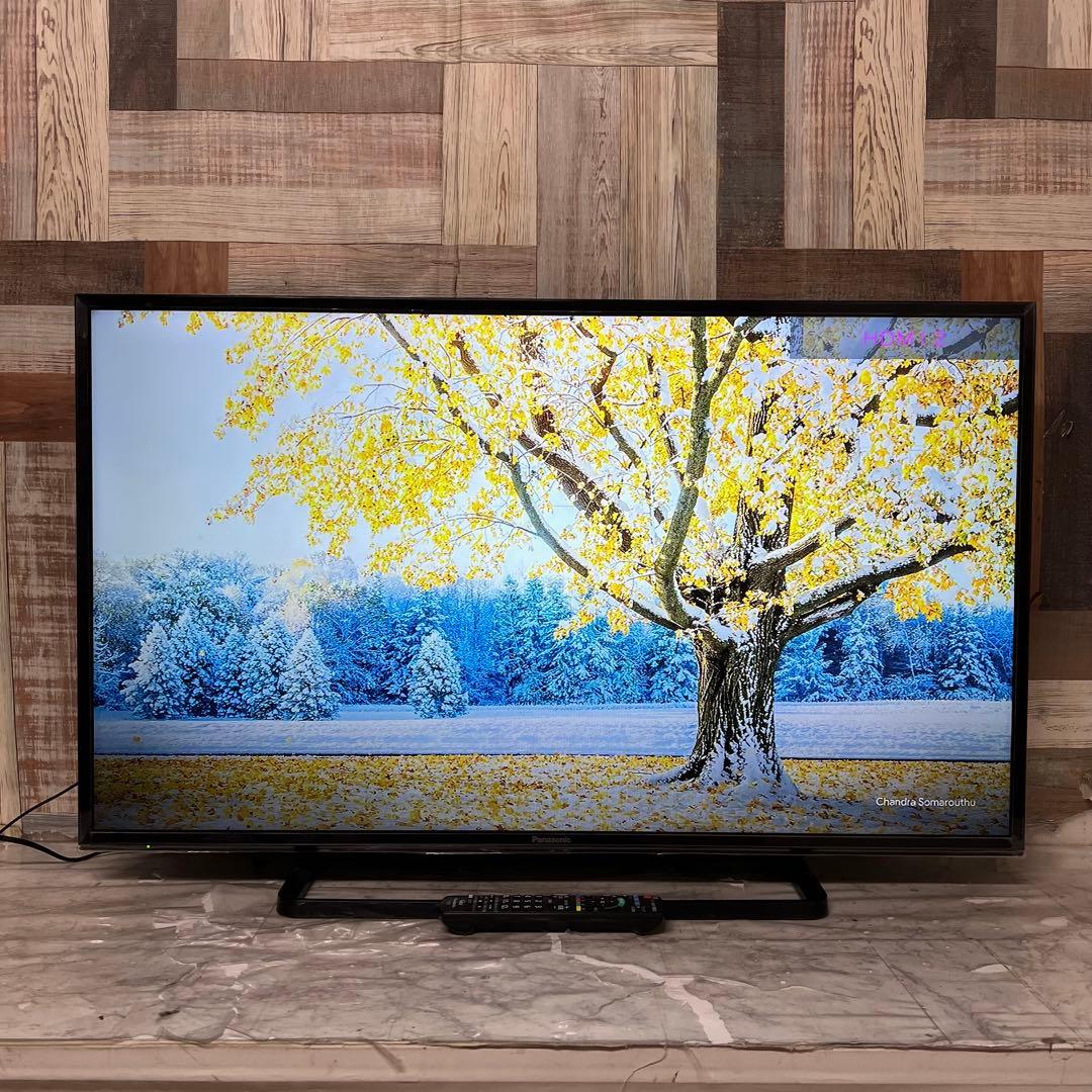 全国送料込❣️パナソニック 43V型 液晶テレビ ビエラ 地デジBSCS視聴可能