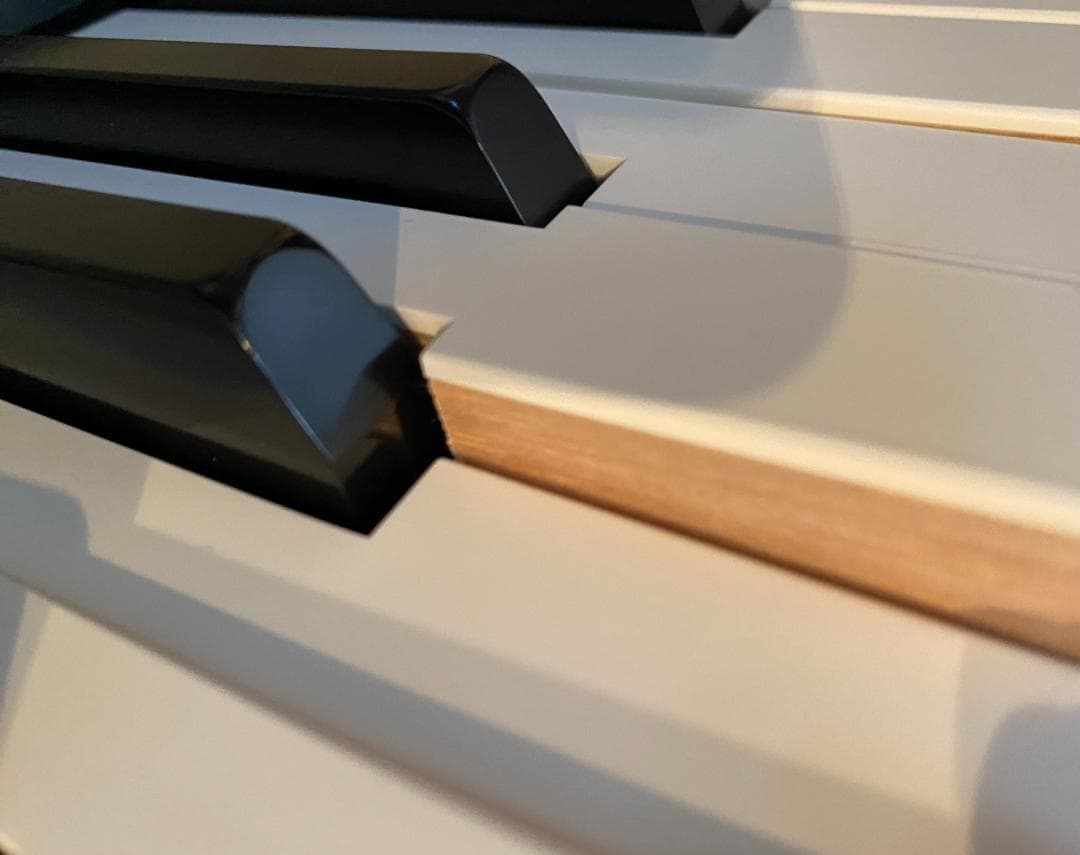 Roland ローランド 電子ピアノ FP-90X-BK 88鍵盤 箱付き 美品