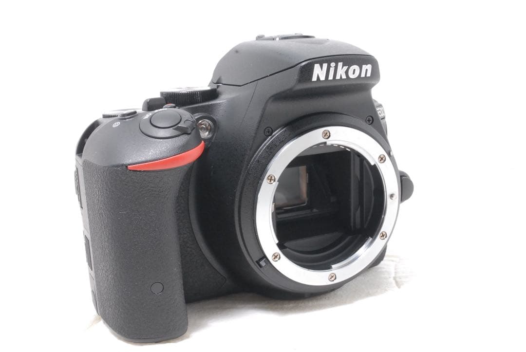 新品級 ショット数266回✨Nikon D5500 ダブルズーム 超望遠レンズ付