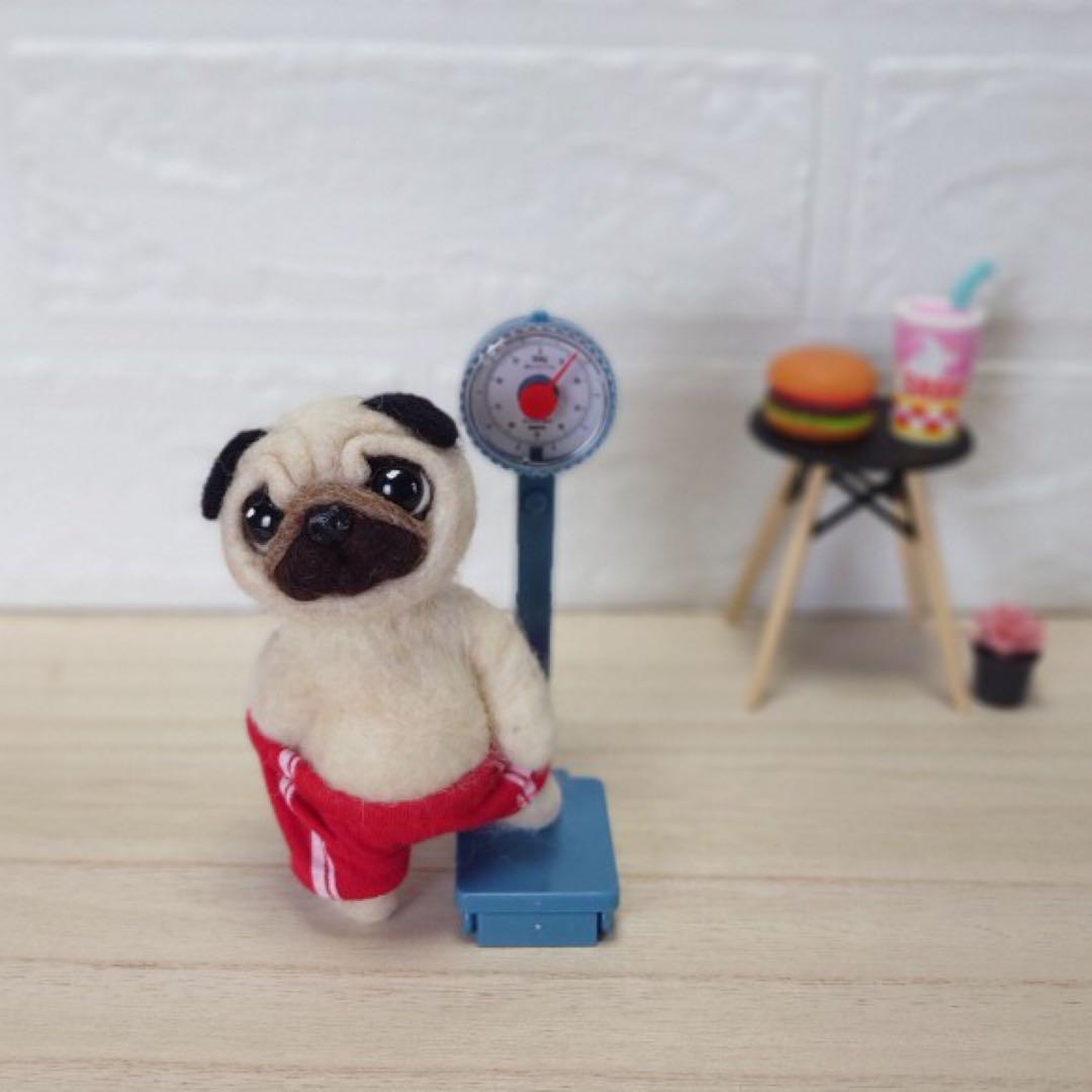 オーダー受付中❤️羊毛フェルト　健康診断パグちゃん