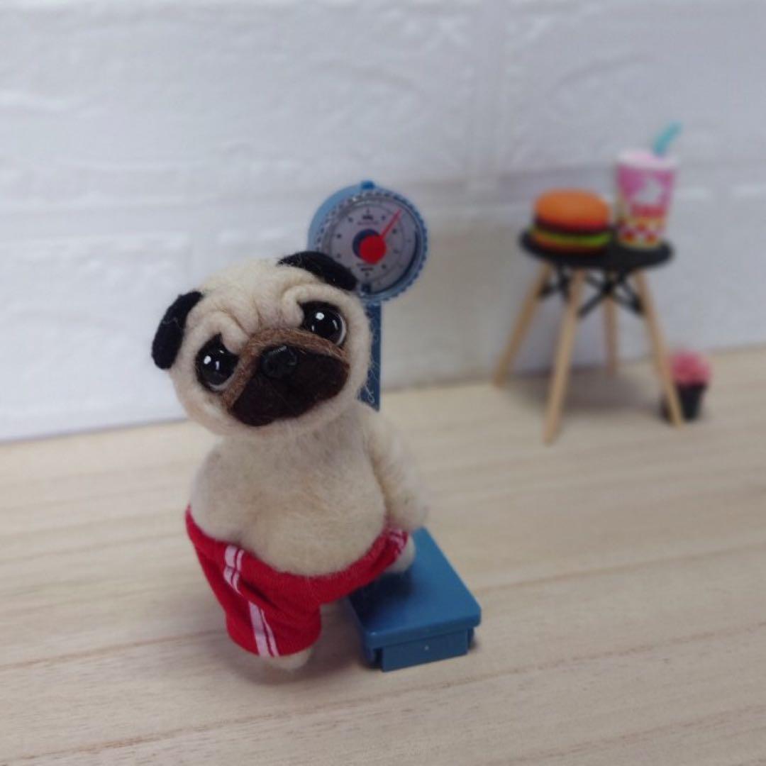 オーダー受付中❤️羊毛フェルト　健康診断パグちゃん