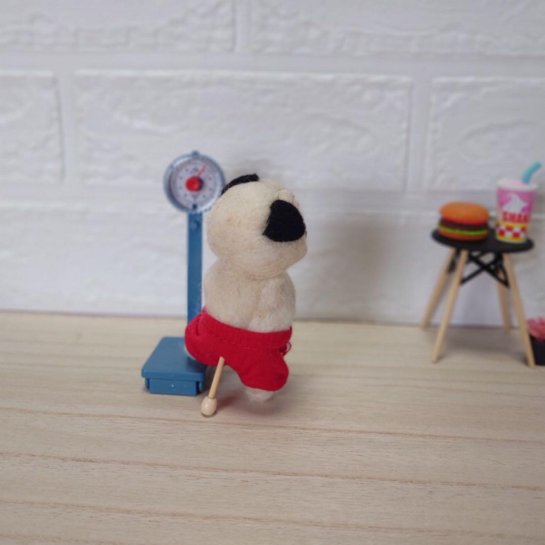 オーダー受付中❤️羊毛フェルト　健康診断パグちゃん