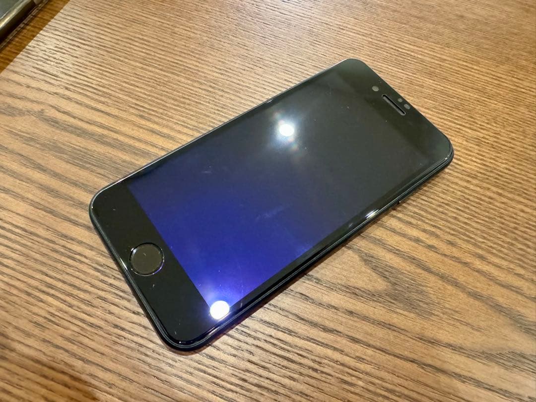 Apple iPhone SE (ブラック) 本体 256GB 付属品未使用