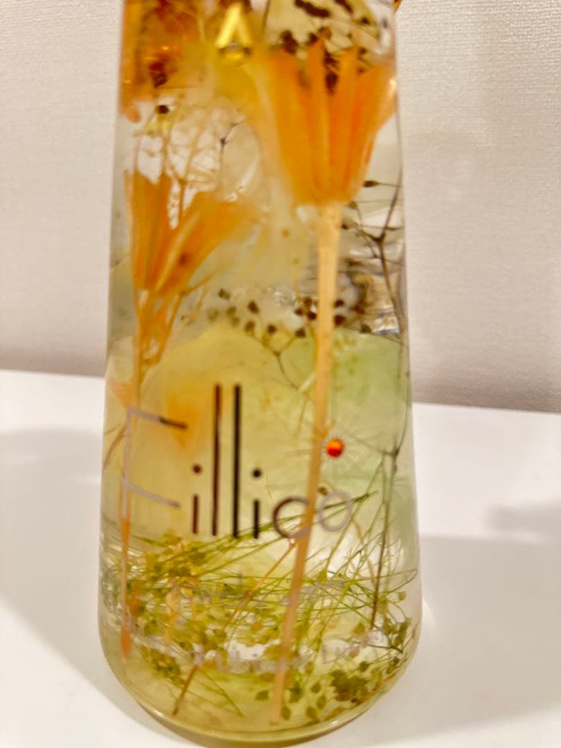 Fillico(フィリコ) ハーバリウム 天使の翼 王冠付き